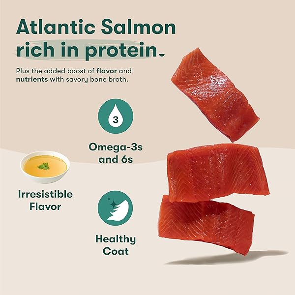 JINX SALMON GRAIN FREE WET DOG FOOD TOPPERS, MEAL OR MIX WITH DRY DOG FOOD, MADE WITH REAL SALMON & CHICKEN, BONE BROTH, NO FILLERS, PUPPY, ADULT, SENIOR, 3OZ, 8 PACK