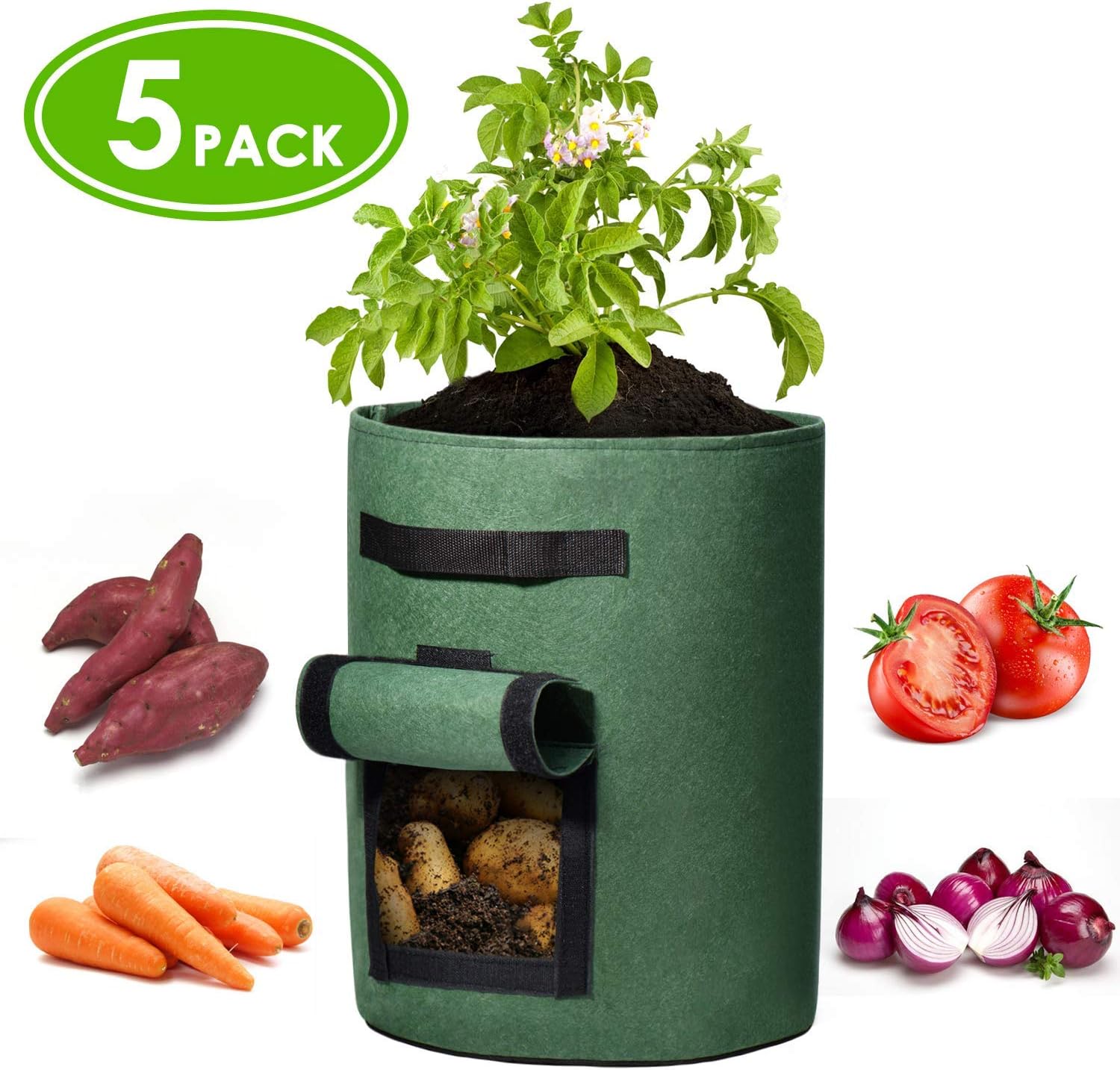 ProLeo 5 Sacchi Per Piante In Tessuto Non Tessuto - 20 Litri Con Manici - Per Patate, Pomodori, Fragole, Ortaggi - 2