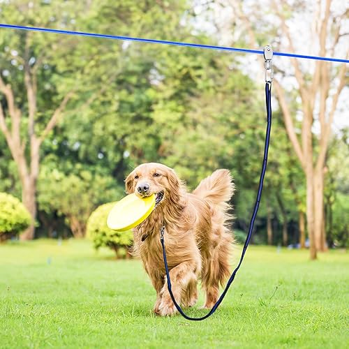 Dog Trolley Long Outdoor Dog Leash XiaZ Dog Tie Out Cable, 100ft