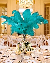 VIJIV Natural Black Large Ostrich Feathers Bulk 10