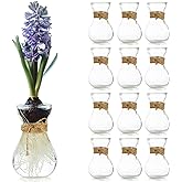 Small Glass Vases for Centerpieces - Hewory 12pcs Clear Mini Hyacinth Avocado Growing Bud Vase Bulk, Cute Tiny Flower Bulb Forcing Plant Containers Set for Wedding Home Living Room Table Decorations