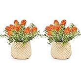 Fuxdre Fake Plants Small with 2 Pack, The Goleden Ball Flower for Bathroom Shelf Decor, Decorative Plants for Home Living Room Office Bedroom Table Tray Shelve Farmhouse Decor Indoor(Orange)