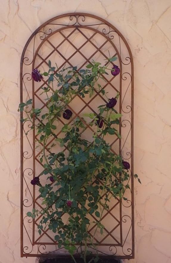 enrejado enrejado pared Rank ayuda para ventana Provence metal ...