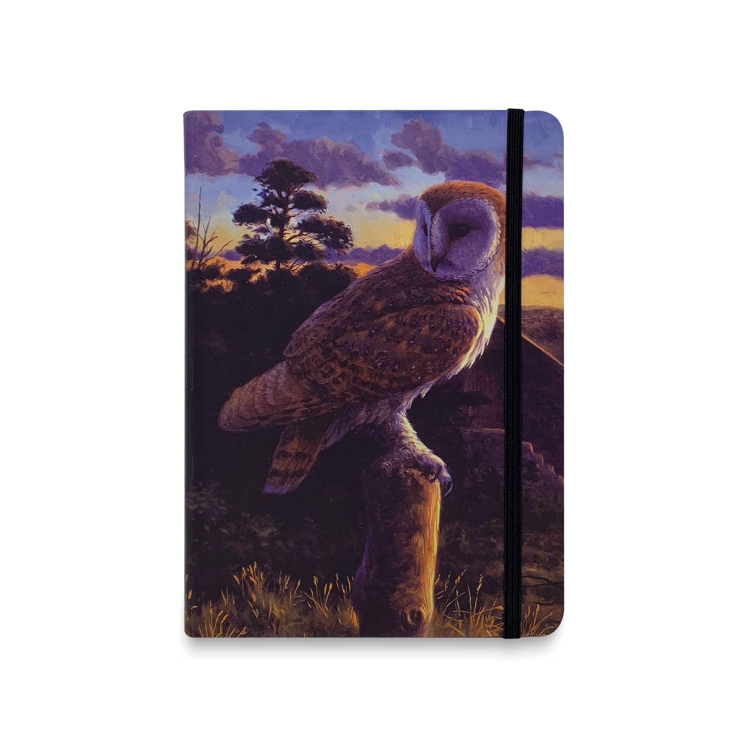 Barn Owl at Dusk Flexible Pocket Notebook by Julian Friers - Memo Writing Pad - Stationery