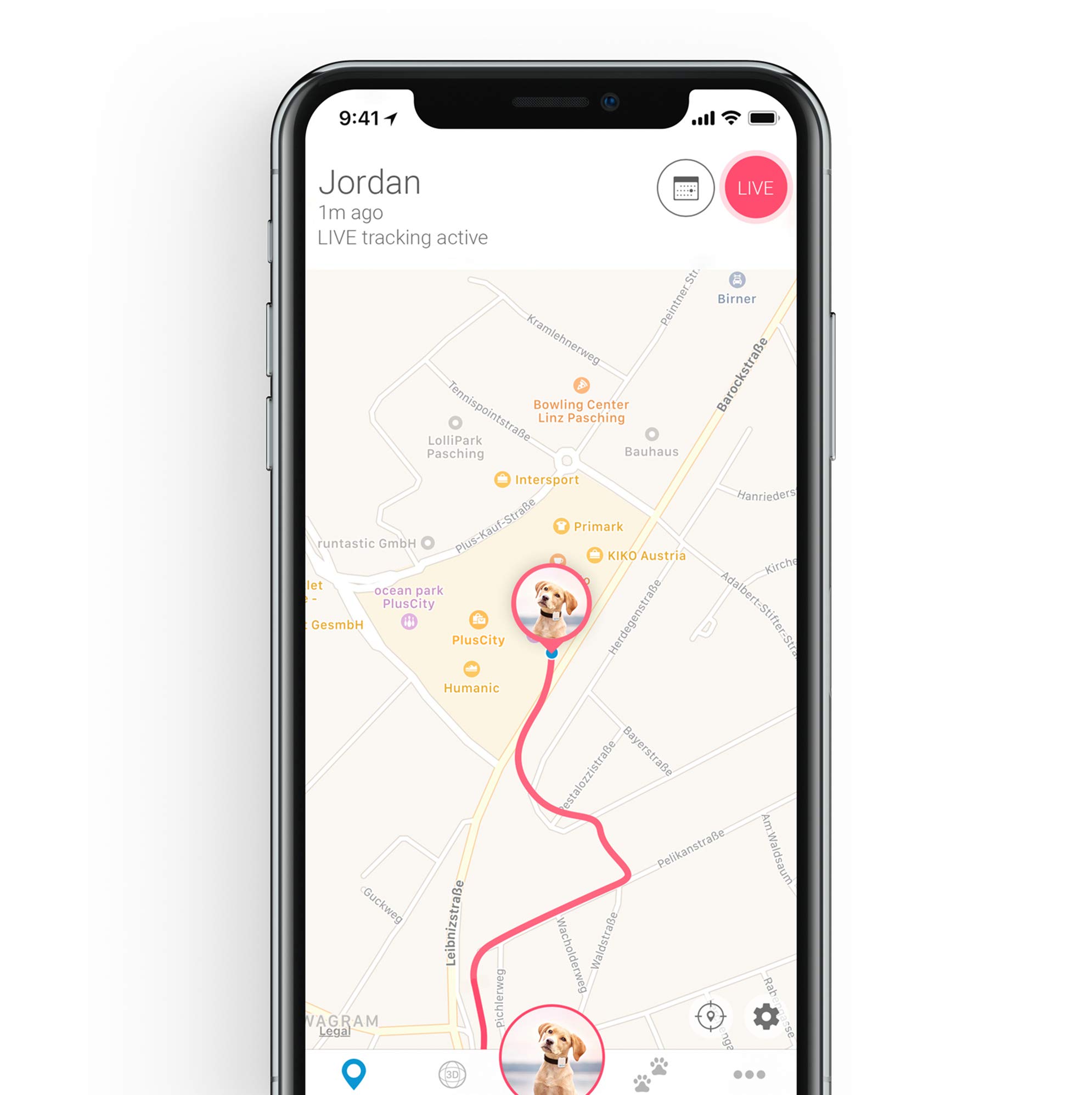 Tractive GPS XL Tracker for Dogs waterproof pet finder collar