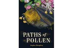 Paths of Pollen