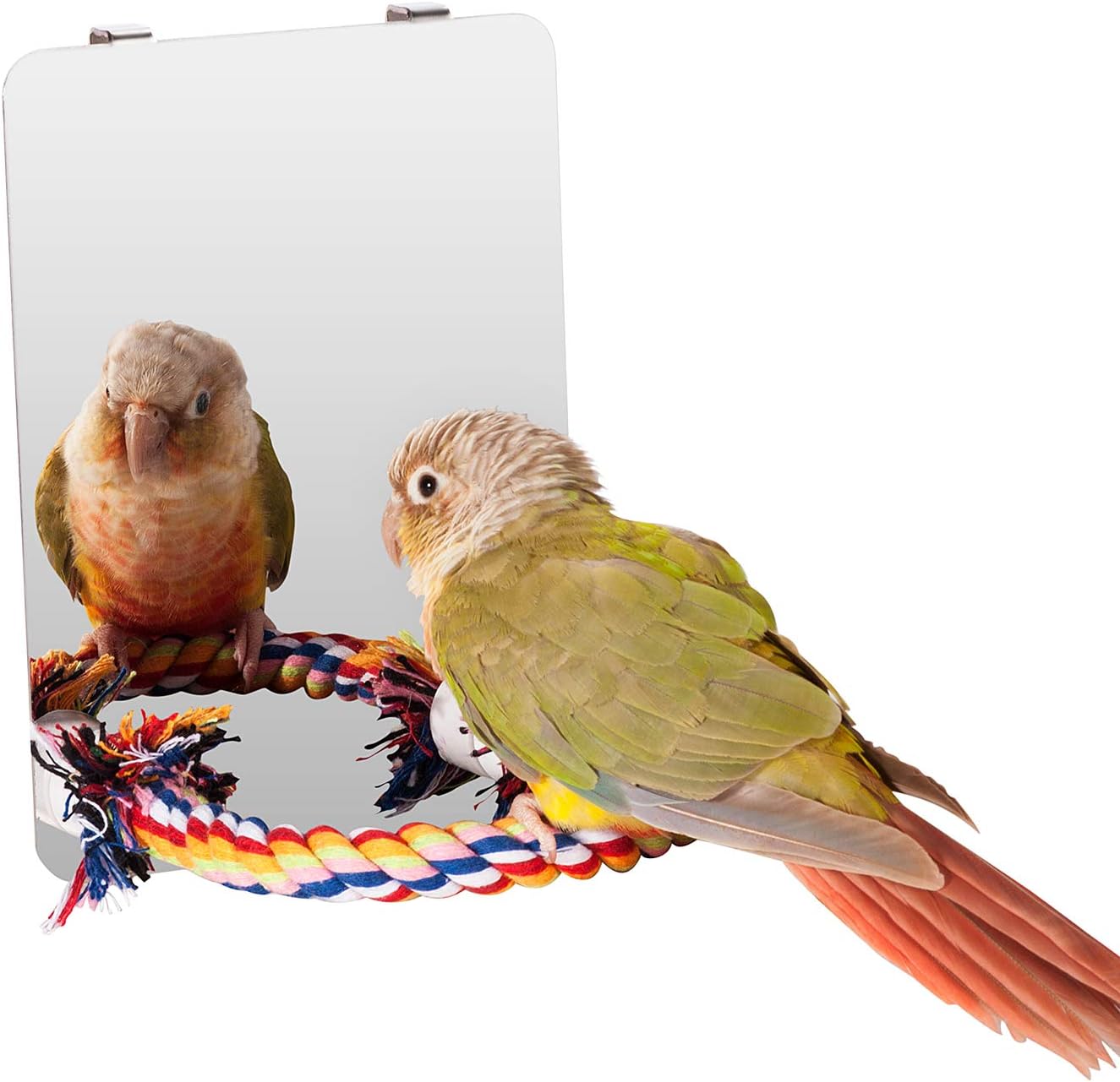bird swing with mirror