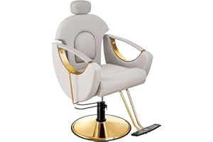 Baasha Barber Chair Reclining Hair Salon Chair, All Purpose Gold Salon Chair for Hair Stylist, 360 Degrees Rolling Swivel Styling Chair, Shampoo Chair Tattoo Chair, Gray