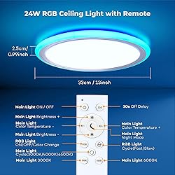 BLNAN RGB Led Flush Mount Ceiling Light with Remote