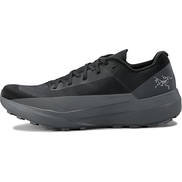 Amazon.com: Arc'teryx Norvan 4 Nivalis Shoe Men's | Adaptable