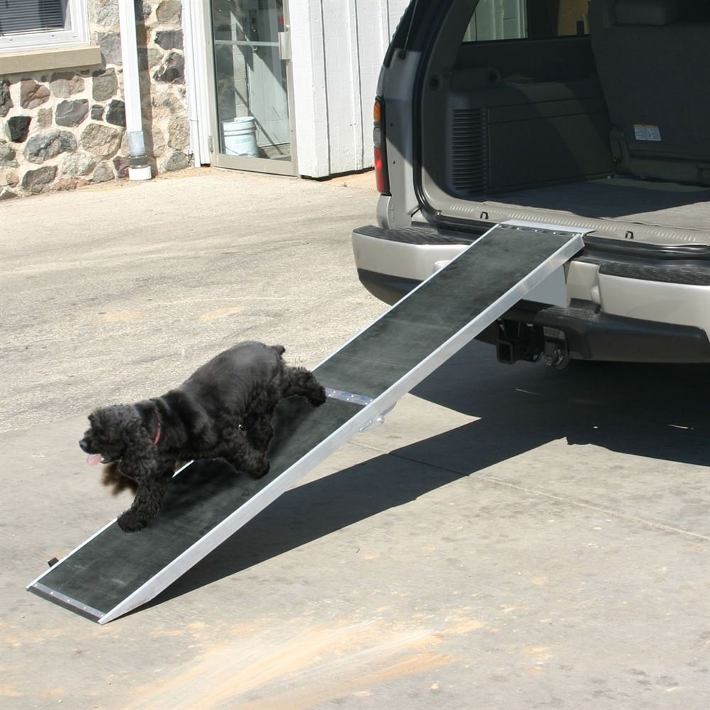 raygar dog ramp