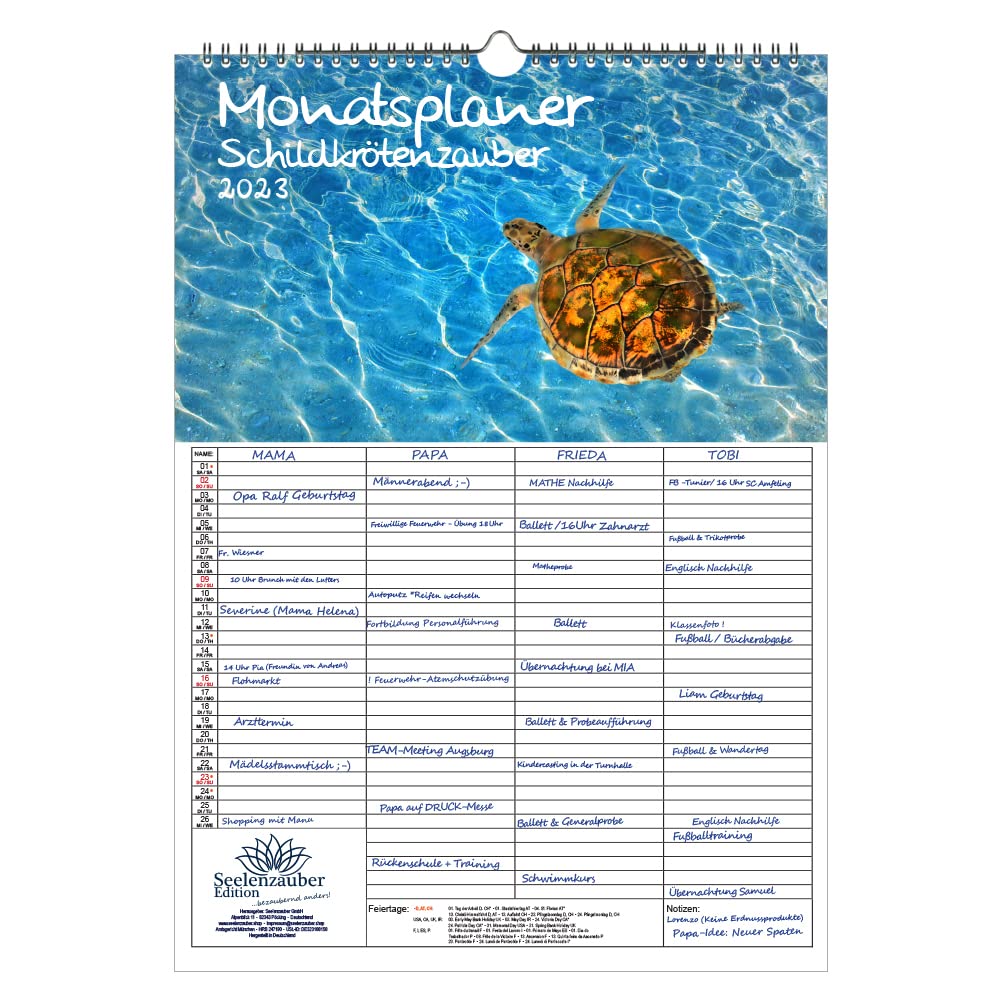 Wall Planner Family Planner 4 Columns - Turtle Magic DIN A3 Calendar for 2023 Turtles