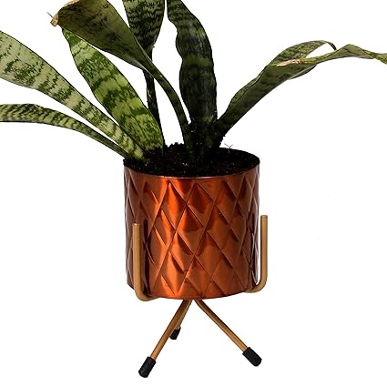 HINS Metal Embossed Glass Shape Flower Plant Pot For Indoor Gardening (Copper Orange) Metal Pots For Indoor Plants I Elevated Garden Planter I Raised Planter I Desk Plant I Raised Planter Box I Ascent Homes Metal Planter I Raised Planter Box With Legs I Brass Pots For Indoor Plants I Golden Planter I Mid Century Plant Stand I Brass Planters For Indoor Plants I Indoor Plant Stand For Living Room I Metal Planters Pot For Indoor Plants designer pots for indoor pla