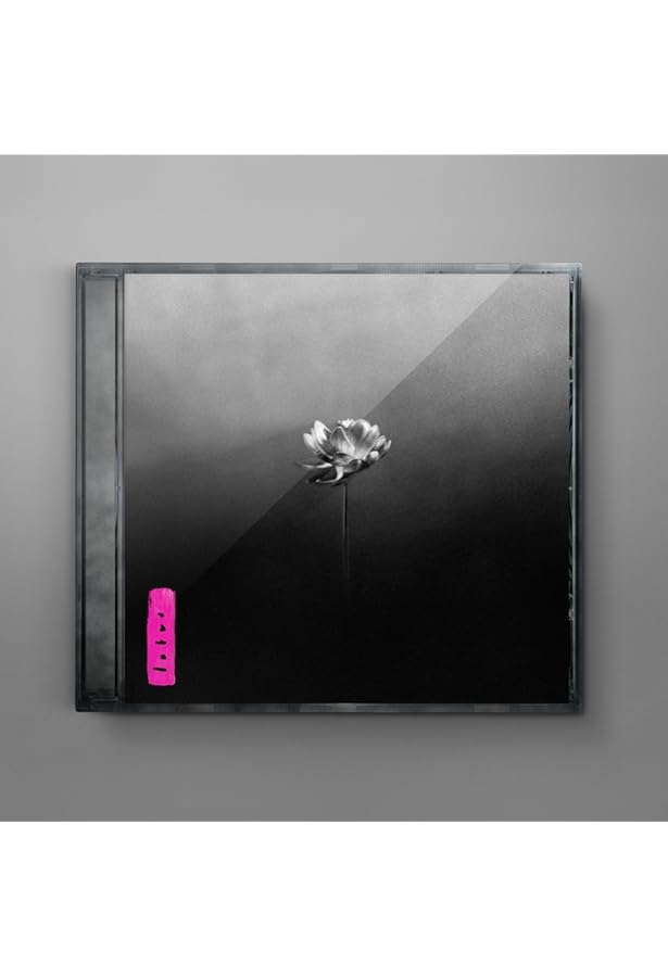 Amazon.com: NO THANK YOU: CDs & Vinyl