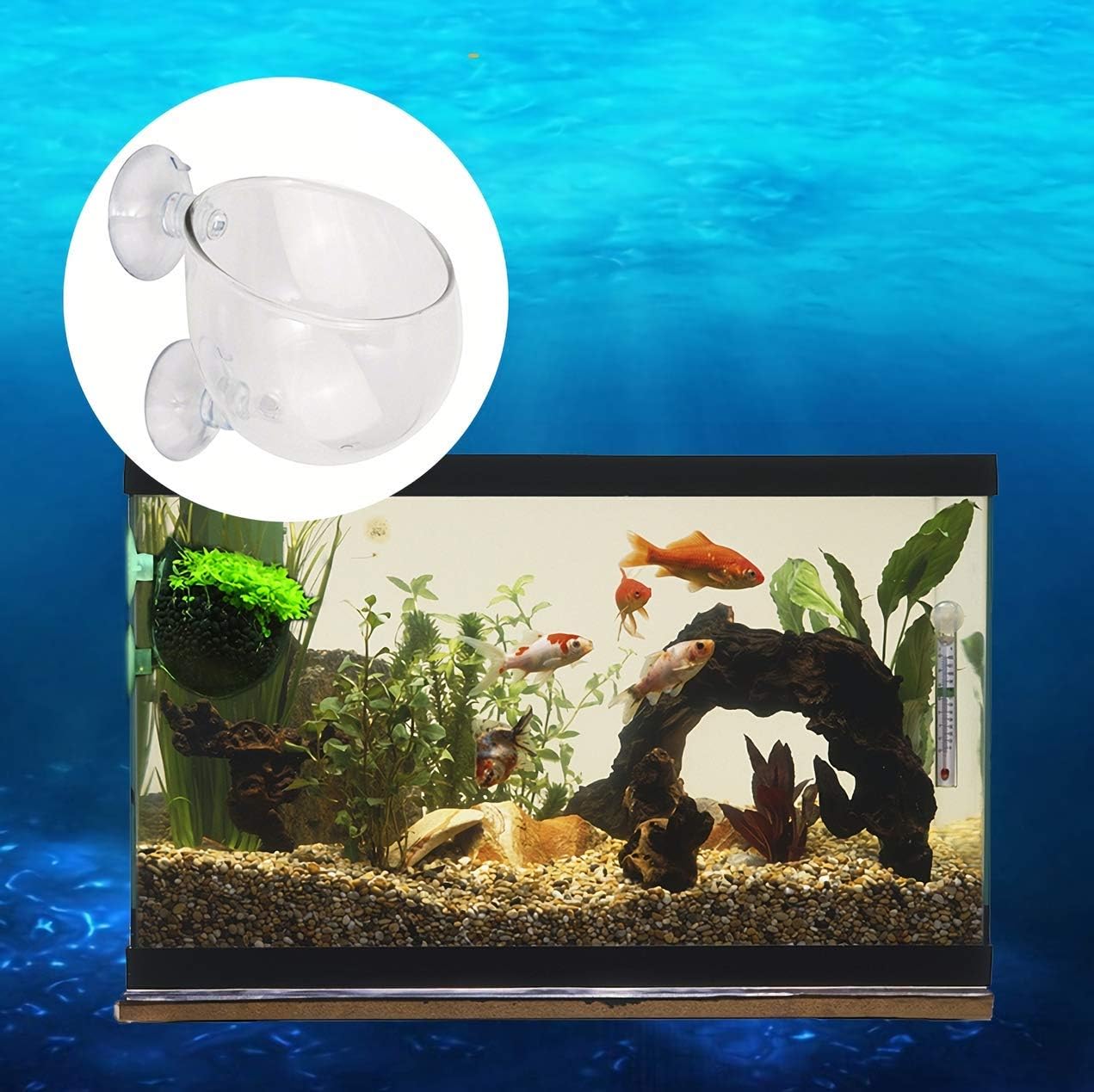 Amazon Srrabbit 水草ポット グラスポット 水草 植木鉢 水槽 アクアリウム 取付簡単 ガラス製 1個 Srrabbit 水槽 通販