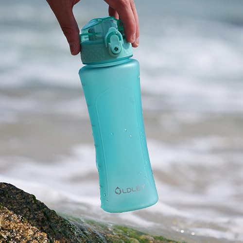 OLDLEY 15oz Kids Water Bottle With Straw & Time Marker - Leak-Proof, BPA-Free, For School & Sports