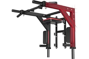 HAKENO Multifunctional Wall Mounted Pull Up Bar/Chin Up bar,Dip Station for Indoor Home Gym Workout,Power Tower Set Gym Equip