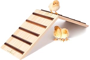 Hipykat Chick Perch & Chicken Roost - Chick Stand Training Perches, Roosting Two-in-one Wooden Chick Ramp Trainer, Chick Toys for Brooder, No Assemble, Coop Accessories for Chick, Hens, Small Animal