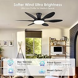 Ceiling Fans with Lights, 51 inch Modern Black Low