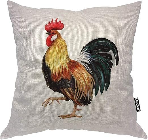 Amazon Com Moslion Chicken Pillow Home Decorative Throw Pillow