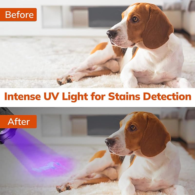 Lanterna Tática e UV 2 em 1, lanterna LED 5000LM, lanterna militar, luz UV com 4 modos, zoom in/out, 395nm, alumínio, anti-queda, IPX4 impermeável, 3 pilhas incluídas