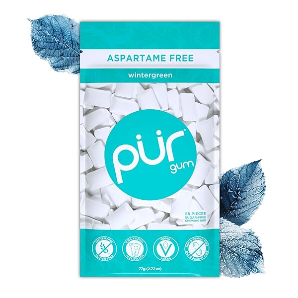 PUR GUM | ASPARTAME FREE CHEWING GUM | 100% XYLITOL | NATURAL WINTERGREEN FLAVORED GUM, 55 PIECES (PACK OF 1)