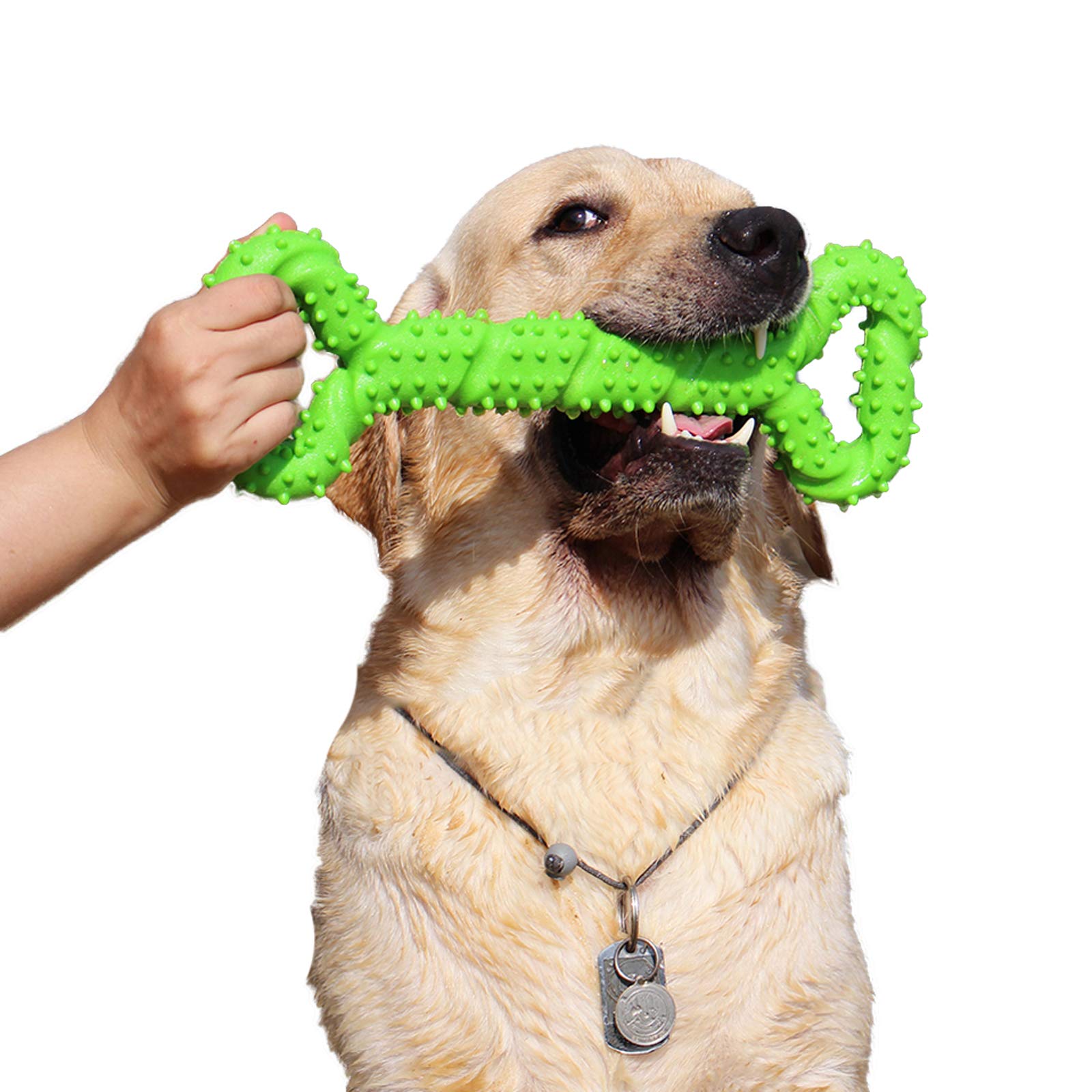 atopo Durable Dog Chew Toys 13 Inch Bone Shape Puppy Chew Toy with Convex Design Strong Tug Toy for Aggressive Chewers Medium and Large Dogs Tooth Cleaning