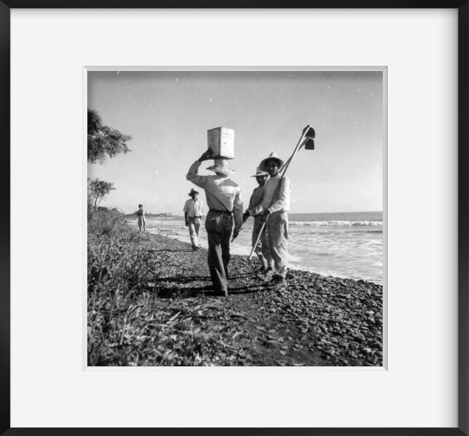 Photographs - INFINITE PHOTOGRAPHS Photo: Puerto Rico [Between 1944 and 1946] by Edwin Rosskam