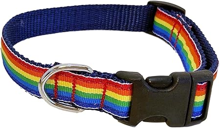 rainbow dog collar and leash