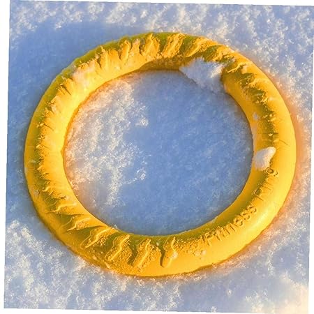 Dorime Anfibio Pelota de Juguete del Perro de Juguete de Perro ...