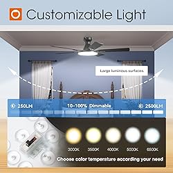 addlon Ceiling Fans with Lights, 52 inch Flush