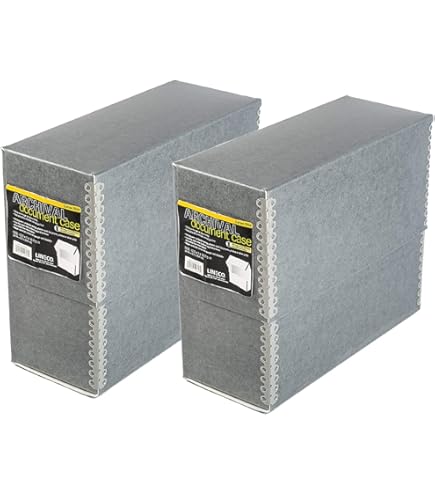 Amazon.com: Leitz Premium archive box with flap, 10 pieces, 100