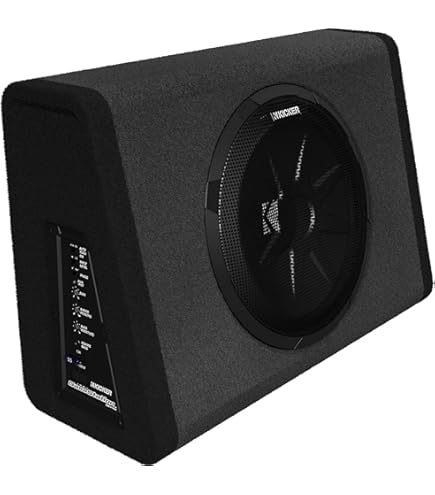Amazon.com: Pioneer TS-WX300A in Car Amplified Subwoofers