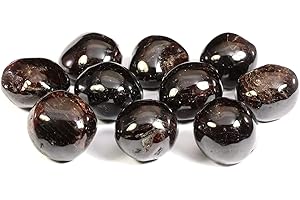 GEOFOSSILS CrystalAge Red Garnet Tumble Stone (20-25mm) - Single Stone