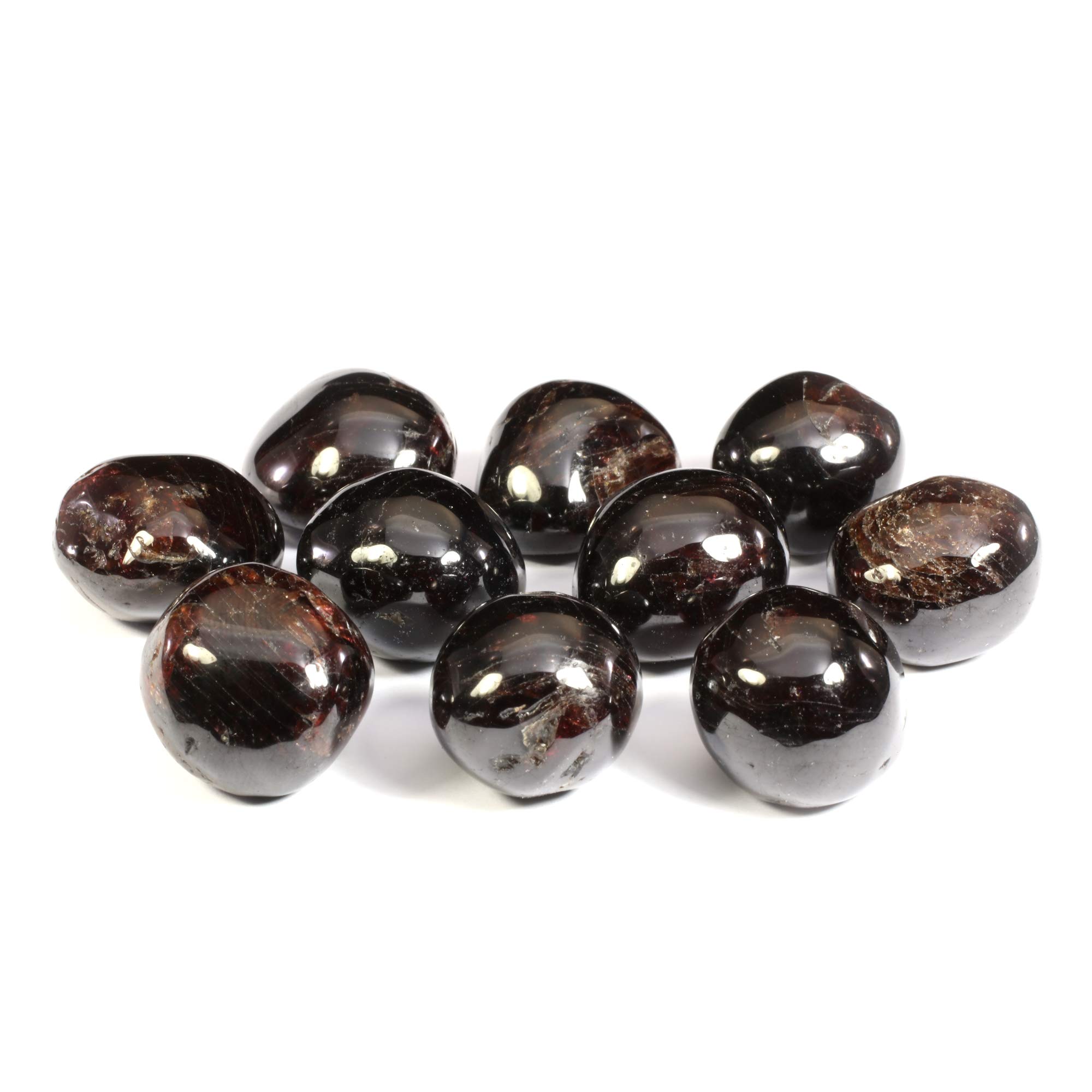 GeoFossils - Red Garnet Tumble Stone (20-25mm) 10 Pack