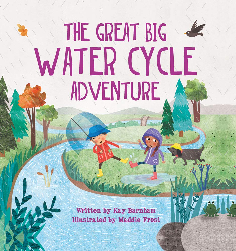 The Great Big Water Cycle Adventure Look And Wonder Books Barnham Kay Frost Maddie Amazon Com Books