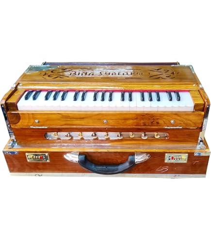 Amazon.com: Bina Portable Professional Harmonium no. 17 Dx