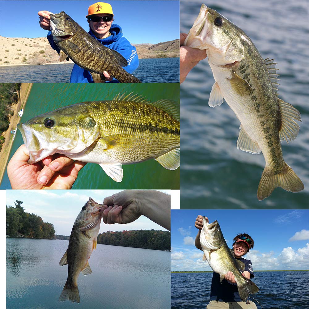 YL 0UTDOOR Frog Fishing Lures 2.95in/1.34oz Topwater Baits for Bass Snakehead Salmon Saltwater Freshwater Fishing