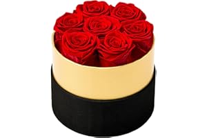 BEAULASTING ROSES Beaulasting Long Lasting Preserved Roses in a Box Last a Year Forever Flowers for Her Mom Wife Anniversary Birthday (Round Black and Gold Box, Red)