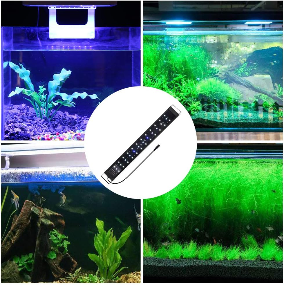 LED Aquarium Light, Fish Tank Light White and Blue LED Bulbs Plant Marine Aquarium LED Light with Extendable Bracket for Freshwater