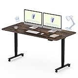 FLEXISPOT E6 MAX Dual Motor 3 Stages Standing Desk