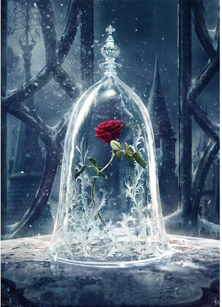 Photography Backdrop Rose in Crystal Jail 5x7 Black Iron Door Beauty and Beast Photo Backgrounds for Photographer Vinyl Backdrops