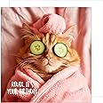 Edition Seidel Premium Square Birthday Card with Envelope. Greeting Happy Birthday for Her Woman Mum Female Girl Friend Colleague Teenager Cool Cat Relax neutral (GQ150 SW024)