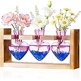 Nacome Plant Terrarium Propagation Stations: Valentines Day Gifts for Her Plant Lovers Women Mom Wife Daughter - 3 Bulb Glass Vase with Wooden Stand Tabletop for Hydroponics Home Garden Decor(Purple)