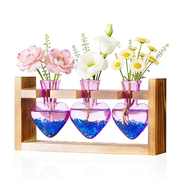 NACOME PLANT TERRARIUM PROPAGATION STATIONS: MOTHERS DAY GIFTS...