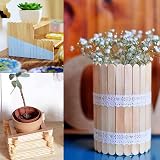 KINGLAKE 50Pcs Wooden Plant Labels with Marker Pen 11.4x1cm Birch Wood Tags view 7