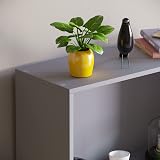 Vida Designs Cambridge 3 Tier Medium Bookcase Grey Wood Shelving view 4