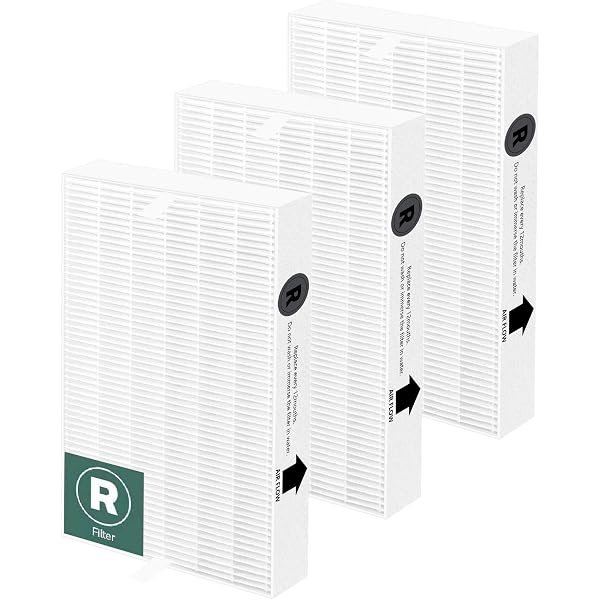 Amazon.com: Honeywell, Inc. 50070171002 TrueDRY Filter : Appliances