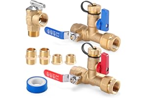 FIDISP 8Pcs 3/4 Inch IPS Isolator Tankless Water Heater Valve Kit with 2Pcs 3/4" NPT to 1/2" FNPT and 2Pcs Brass Pipe Fitting, Tankless Water Heater Flushing Kit with Pressure Relief Valve, Clean Brass
