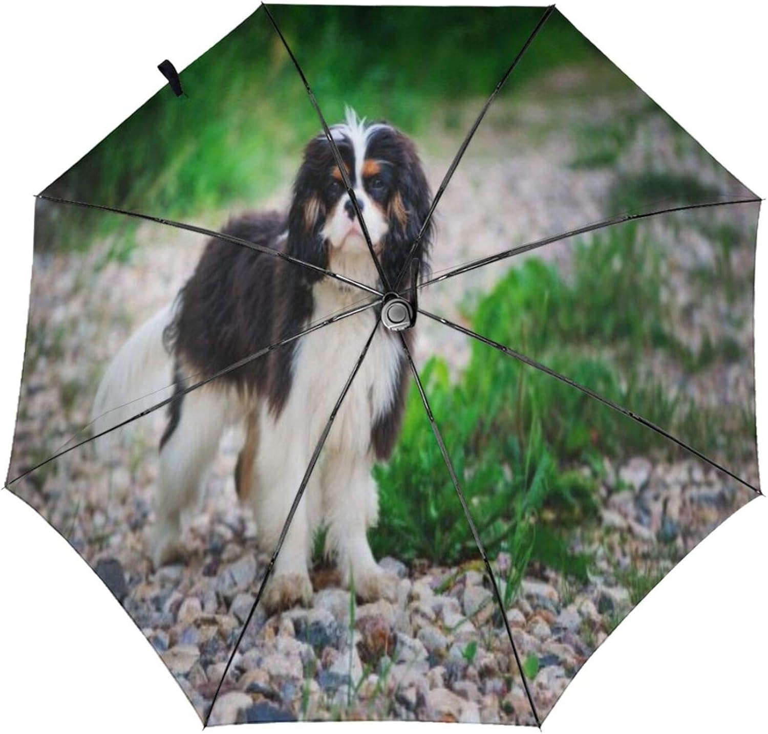 Fonsmay Windproof Travel Umbrella, Tricolor Cavalier King